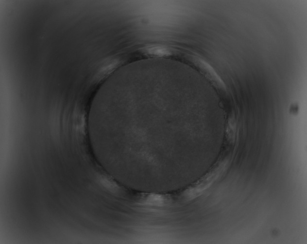 X0000102830330200809081201
