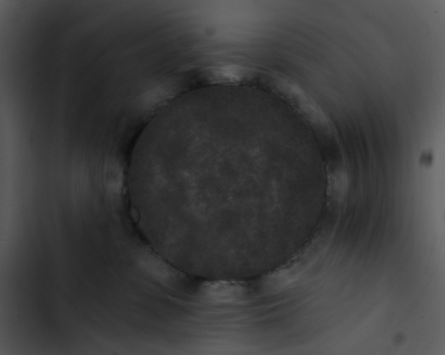 X0000102830331200809081201