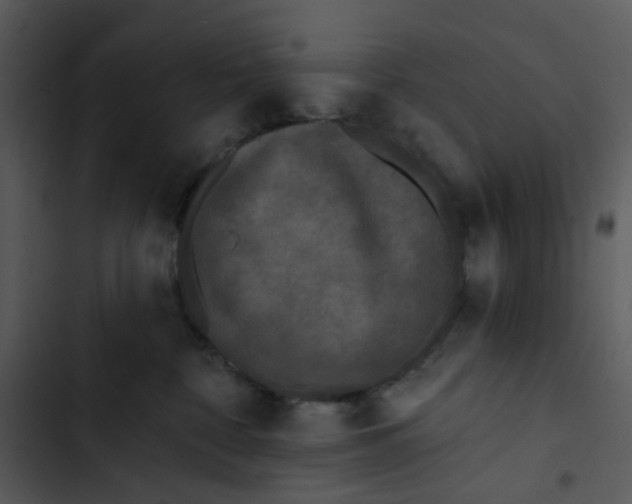 X0000102830332200809081201
