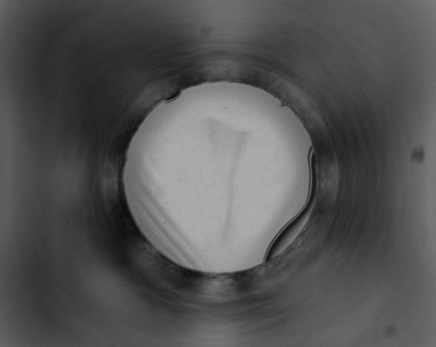 X0000102830333200809081201