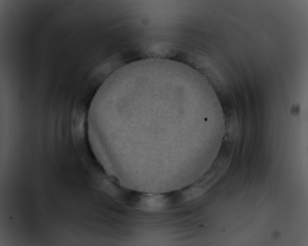X0000102830334200809081201