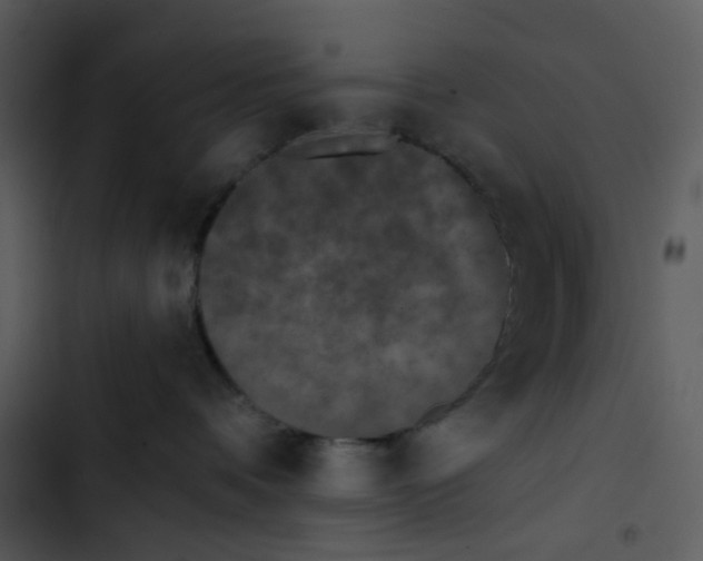 X0000102830336200809081201