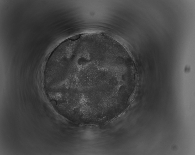 X0000102830337200809081201