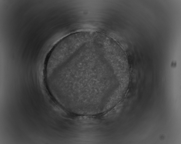 X0000102830338200809081201