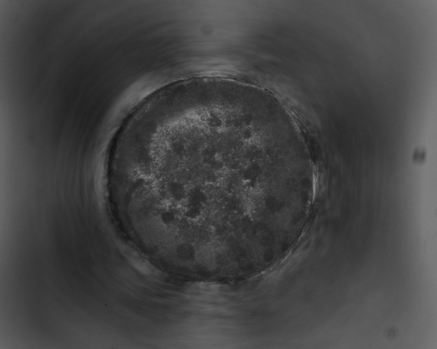 X0000102830339200809081201