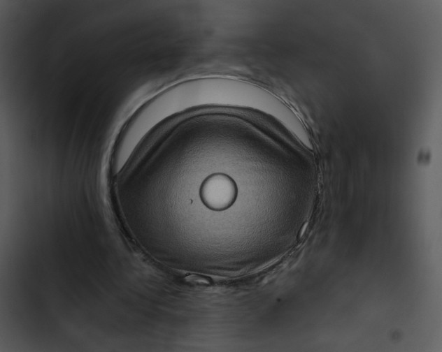 X0000102830340200809081201
