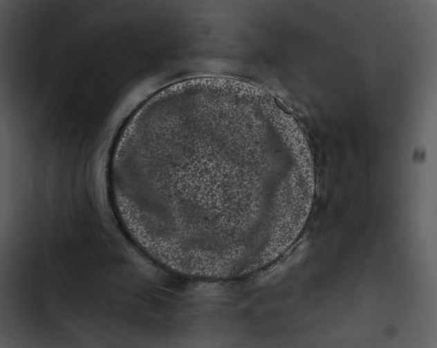 X0000102830341200809081201