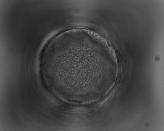 X0000102830342200809081201
