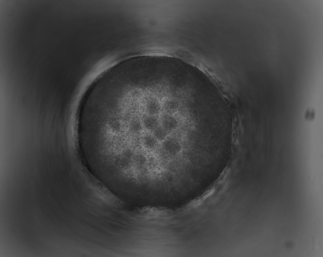 X0000102830343200809081201