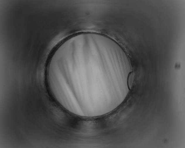 X0000102830344200809081201