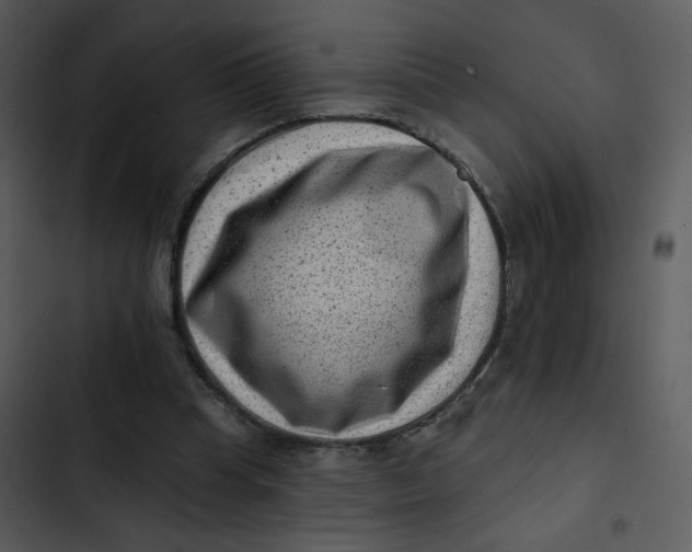 X0000102830345200809081201