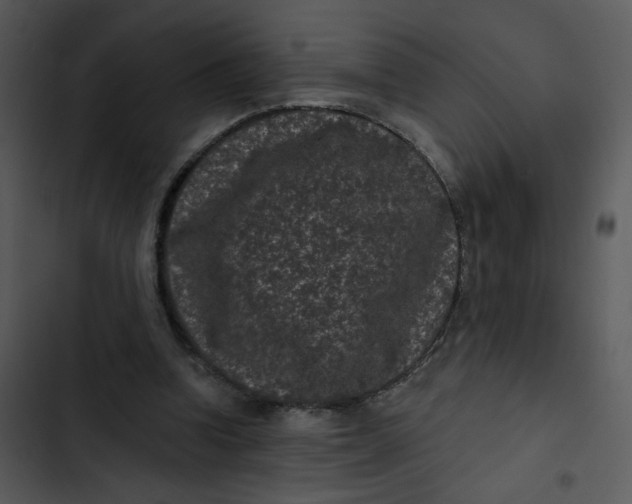 X0000102830346200809081201