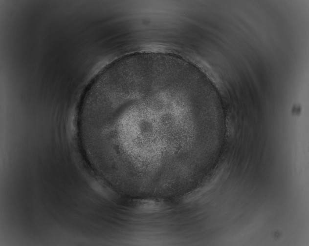 X0000102830347200809081201