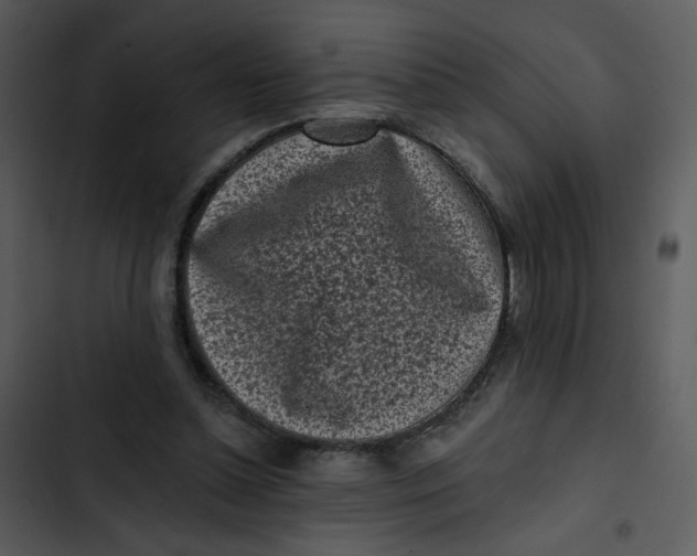 X0000102830348200809081201