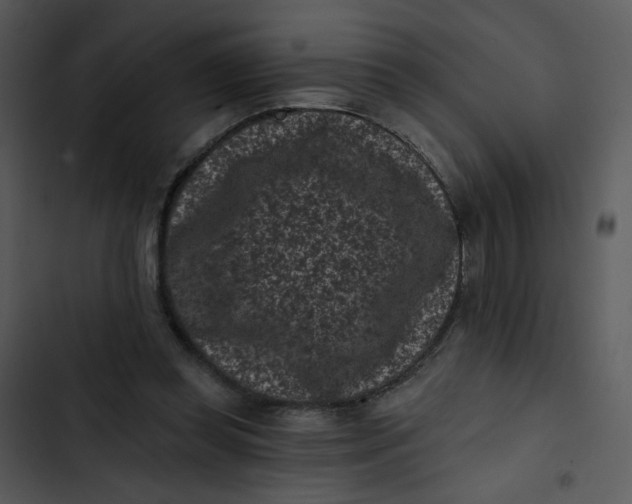 X0000102830349200809081201