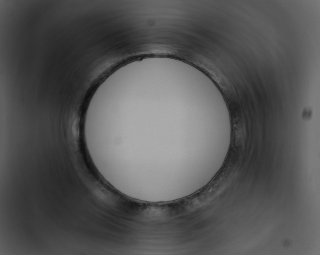 X0000102830350200809081201