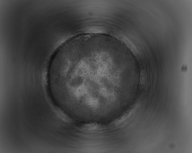 X0000102830351200809081201