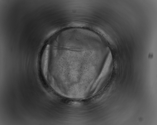 X0000102830352200809081201