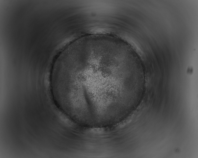X0000102830353200809081201