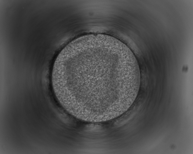 X0000102830354200809081201