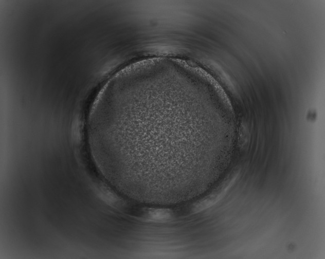 X0000102830355200809081201