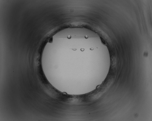 X0000102830356200809081201