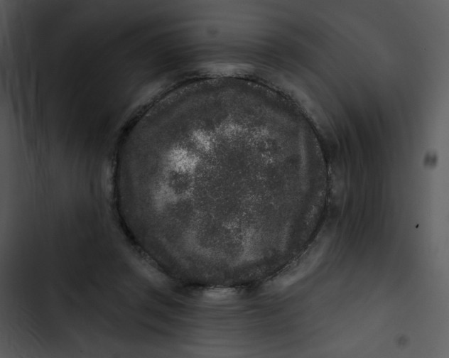 X0000102830357200809081201