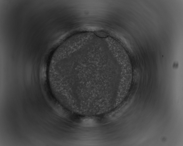 X0000102830358200809081201