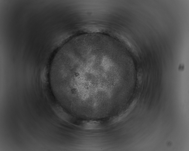 X0000102830359200809081201