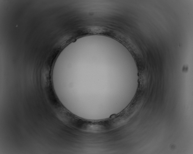X0000102830360200809081201