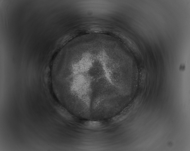 X0000102830361200809081201