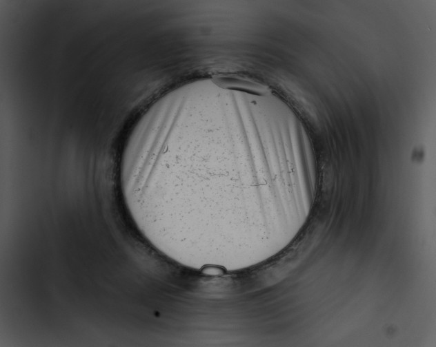 X0000102830362200809081201
