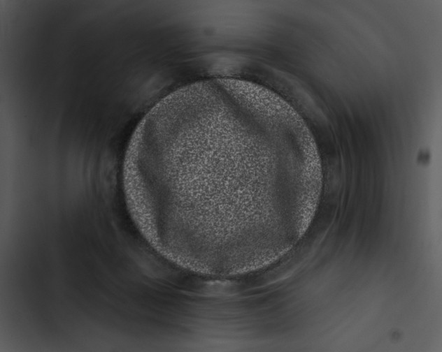 X0000102830363200809081201