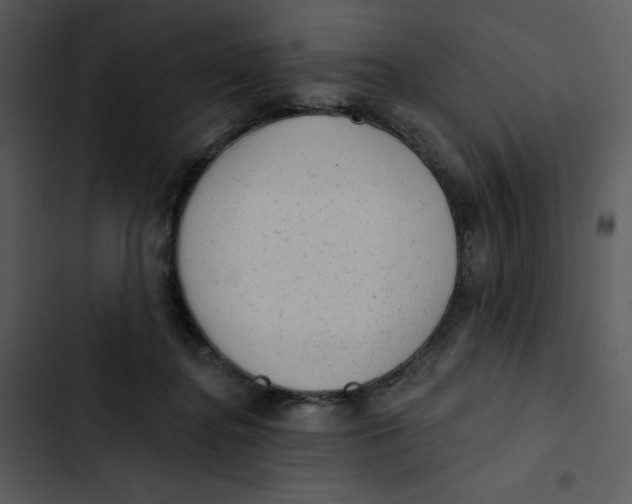 X0000102830364200809081201