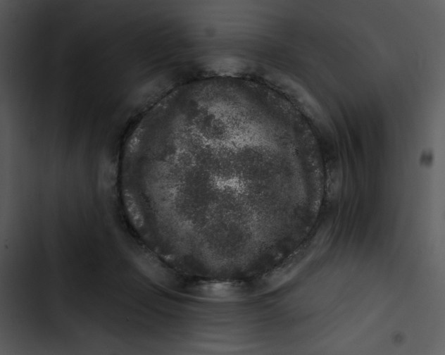 X0000102830365200809081201