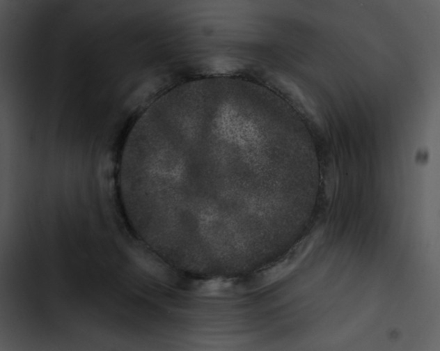 X0000102830366200809081201