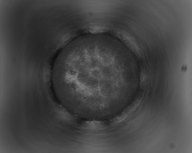 X0000102830367200809081201