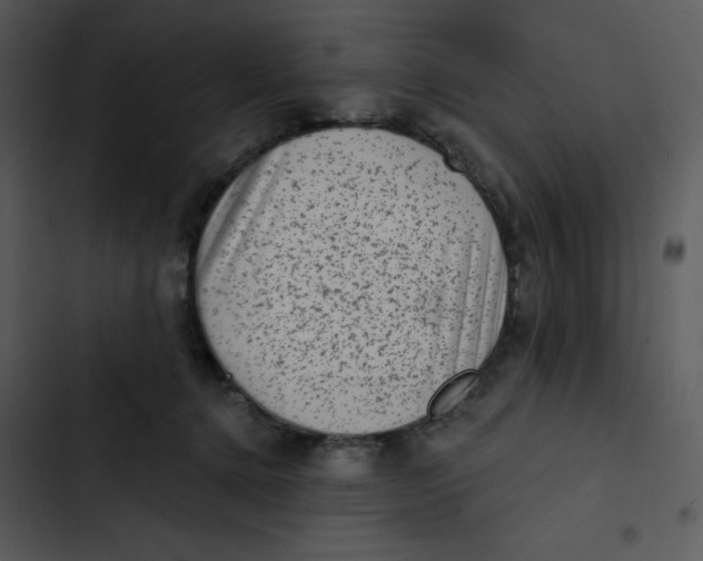 X0000102830368200809081201