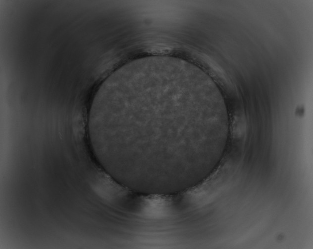 X0000102830370200809081201
