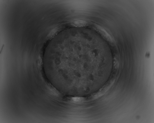 X0000102830371200809081201