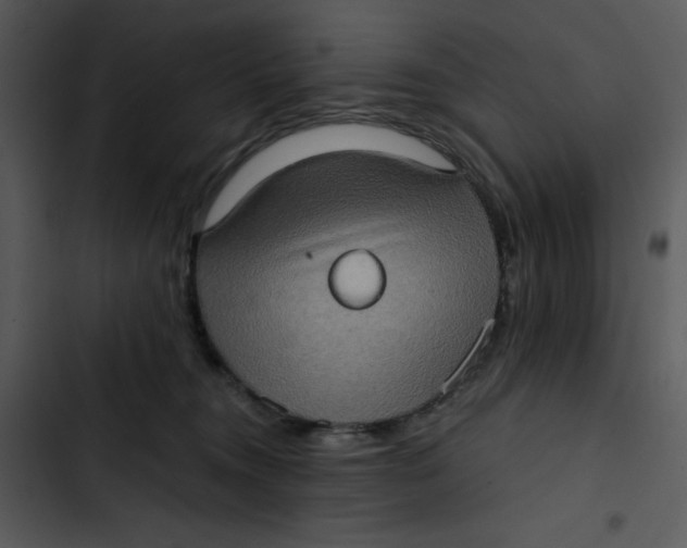 X0000102830372200809081201
