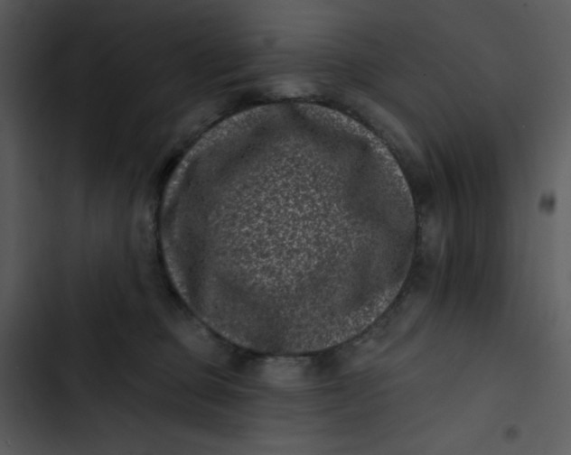 X0000102830373200809081201
