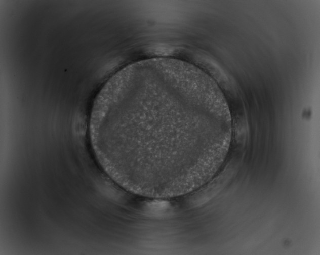 X0000102830374200809081201