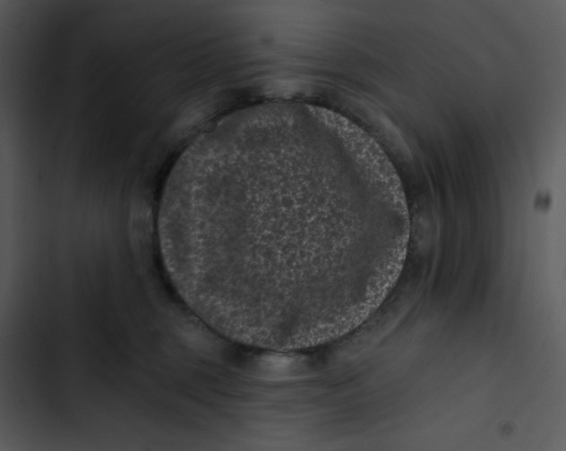 X0000102830375200809081201