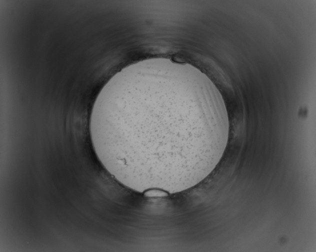 X0000102830376200809081201