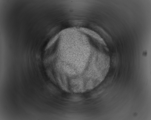 X0000102830377200809081201