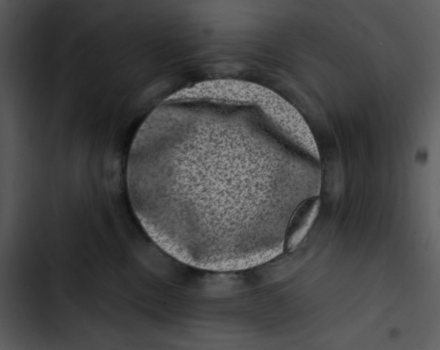 X0000102830378200809081201