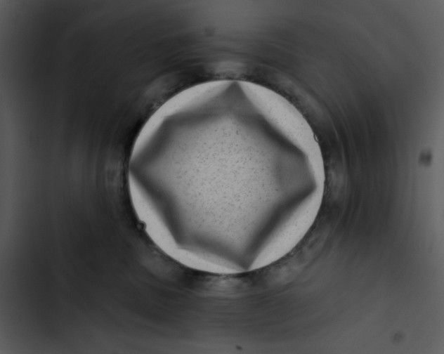 X0000102830379200809081201