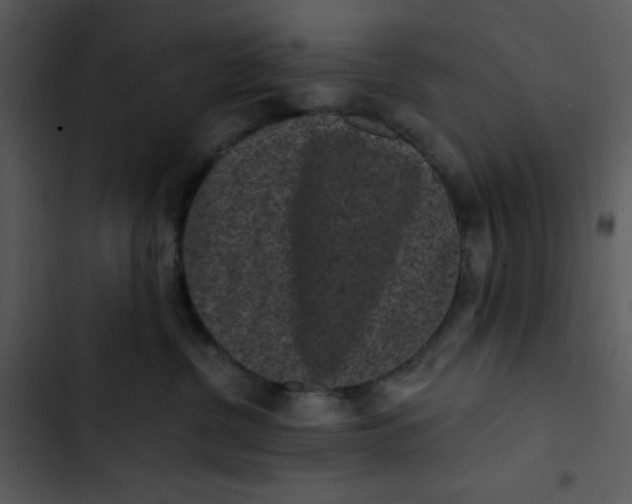 X0000102830380200809081201