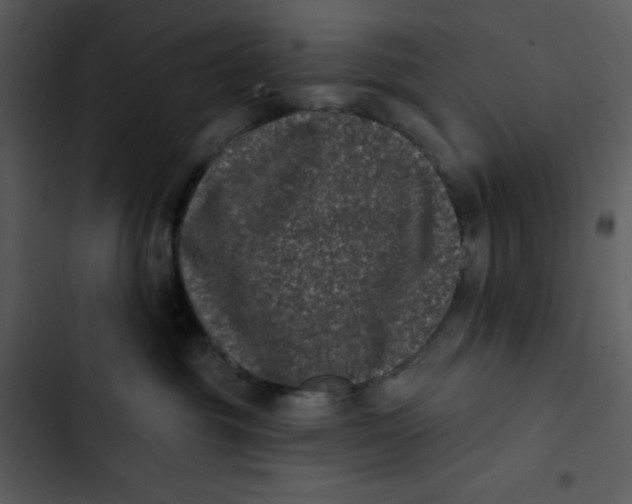 X0000102830381200809081201